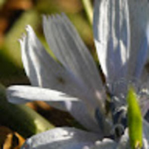 Meet your Posher, Ray